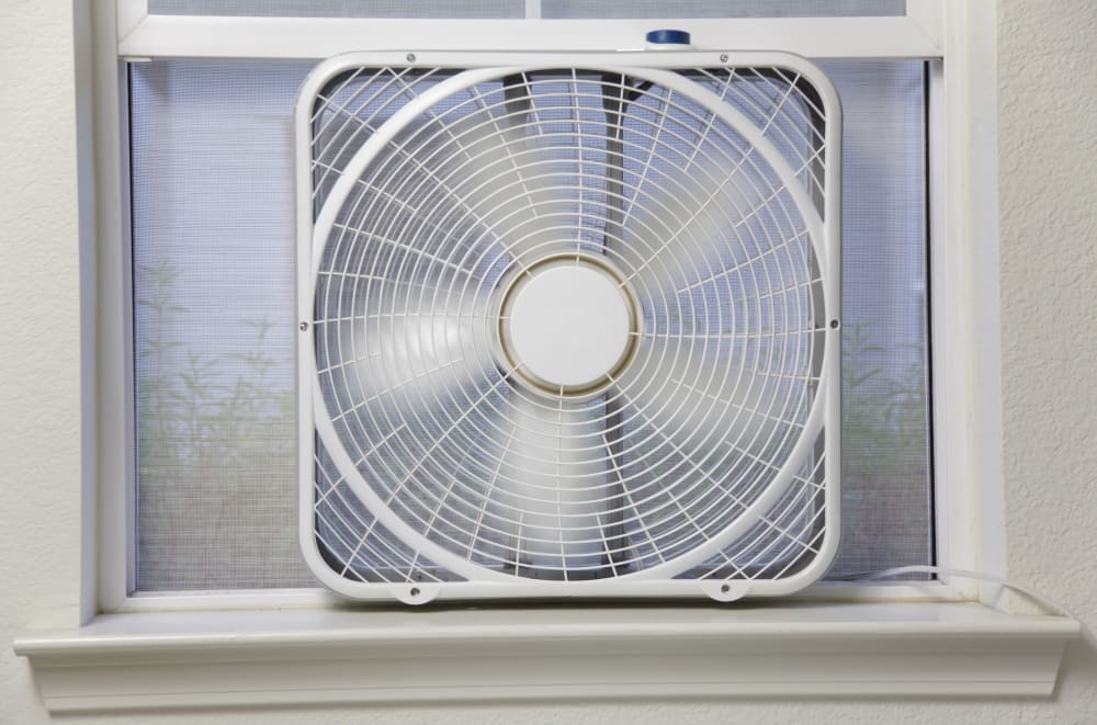 how to buy a fan