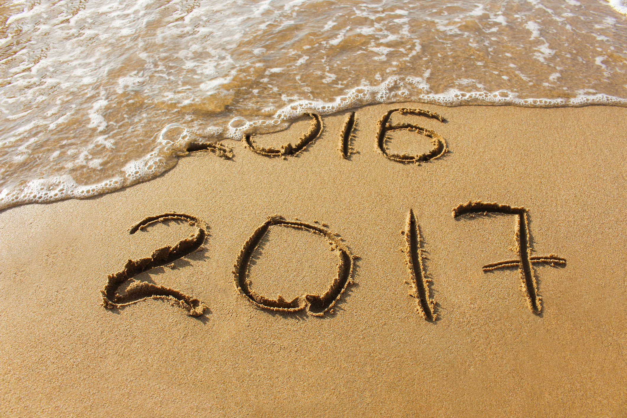 7 Things to Buy in January (Plus the Top 5 Stores to Shop This Month)