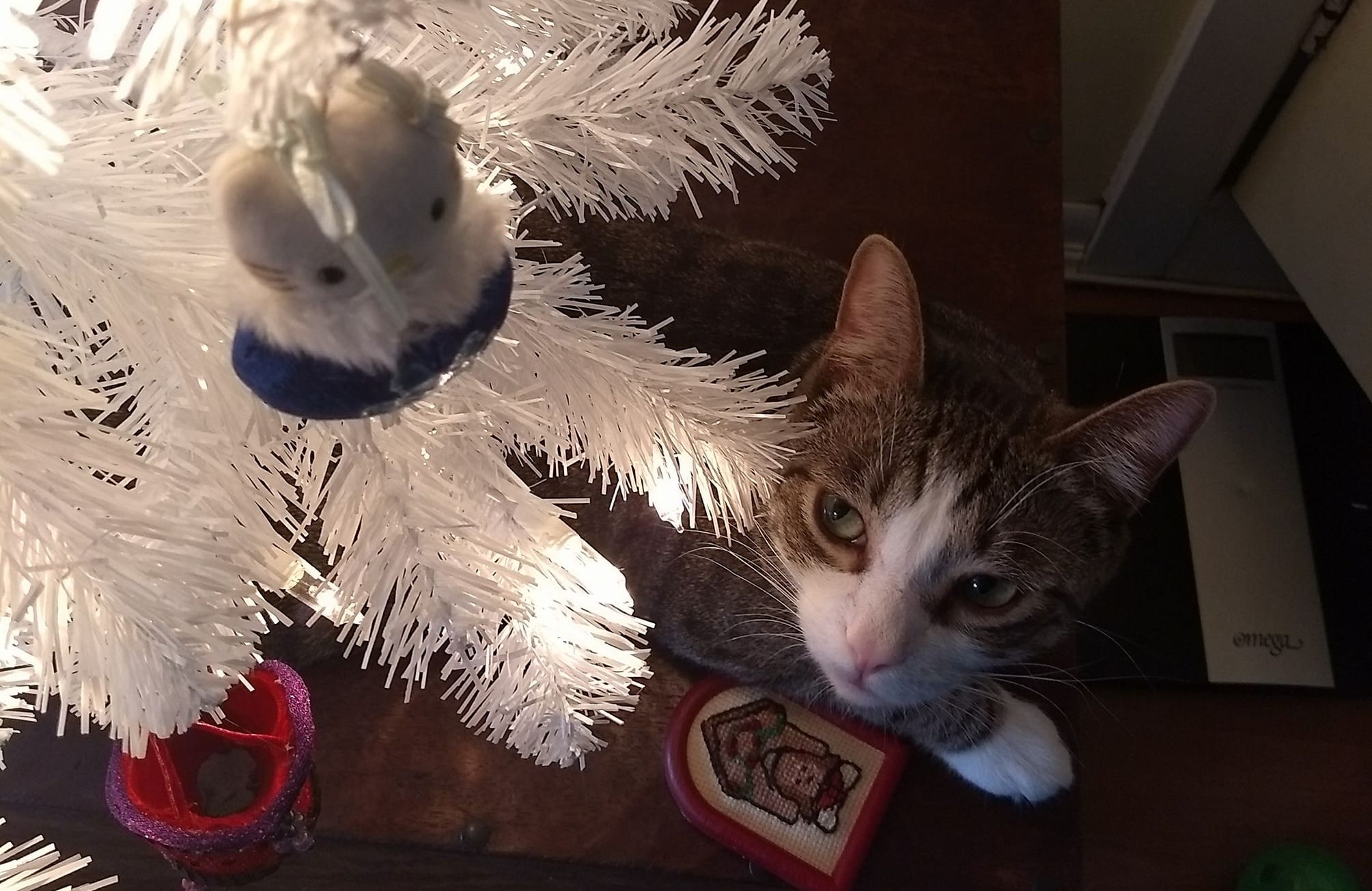 How To Keep Your Cat Out Of Your Christmas Tree