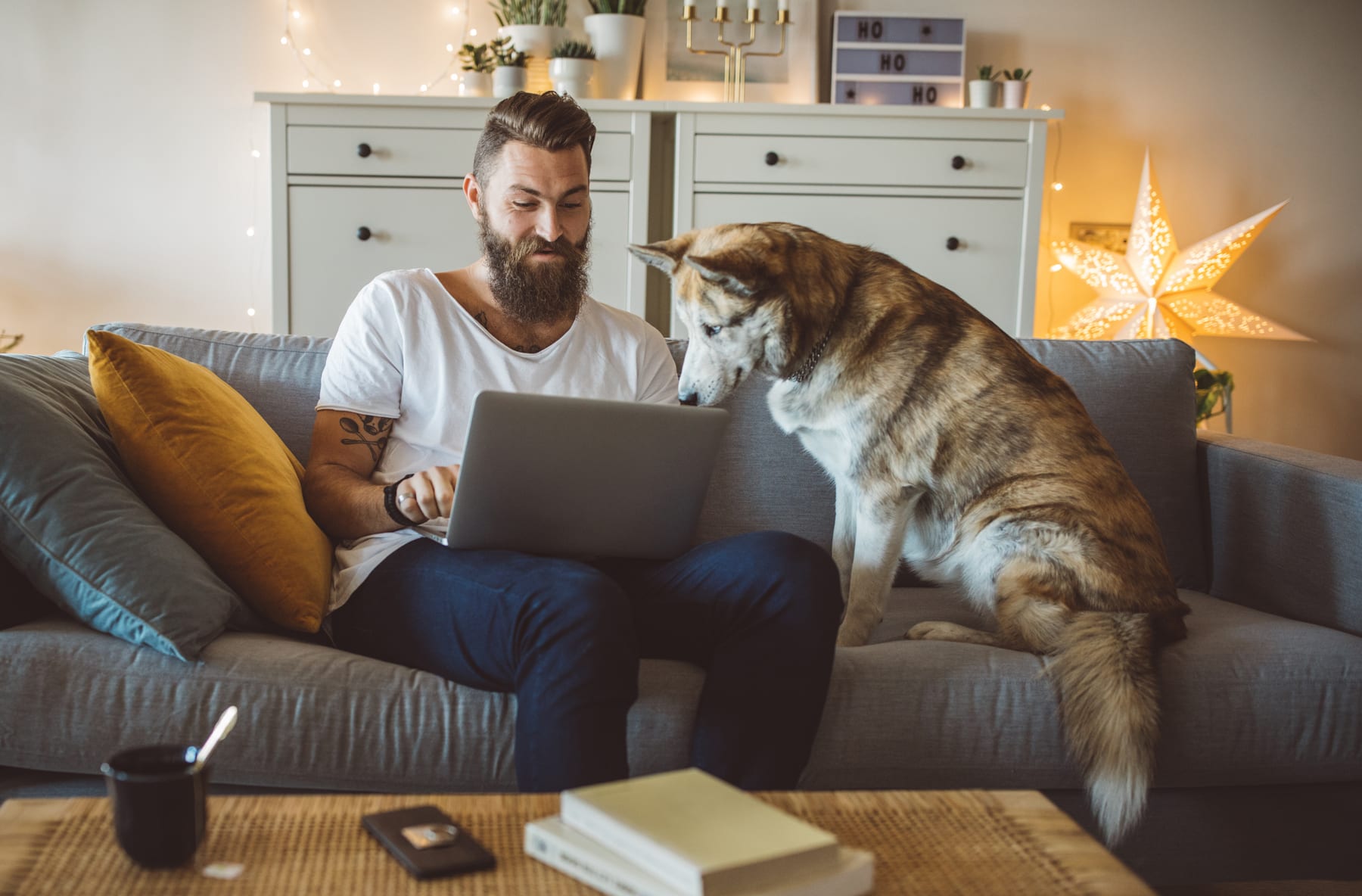 Man sits on couch and shops online with his dog.