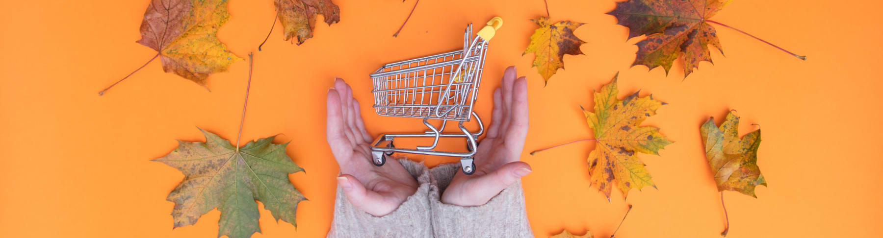 Hands hold shopping cart surrounded by leaves.