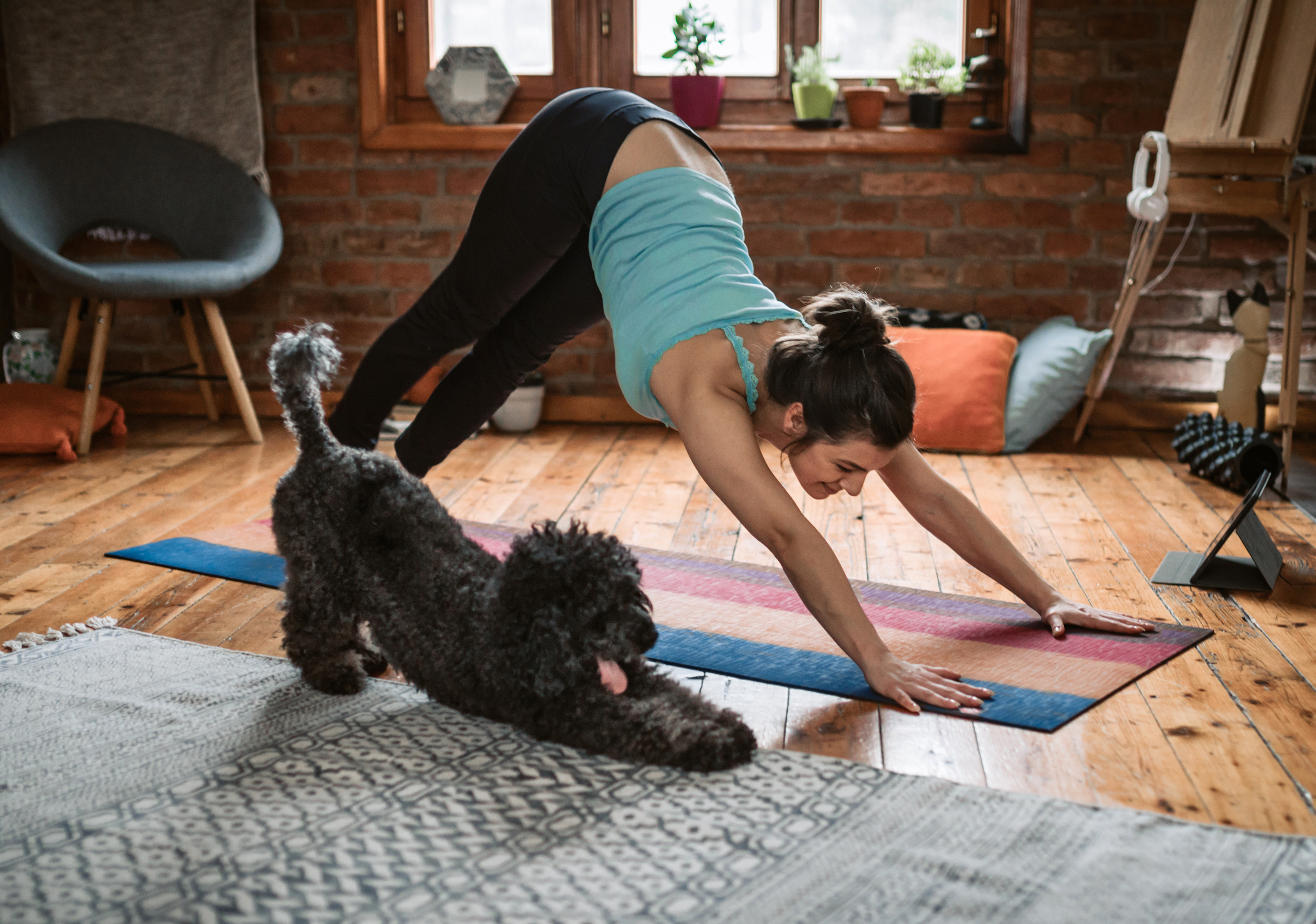 woman doing yoga with dog