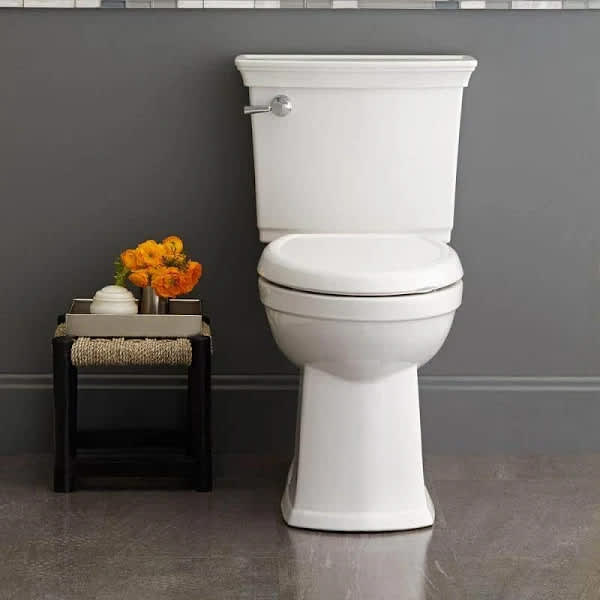 Toilet Spring Black Friday Savings at Home Depot