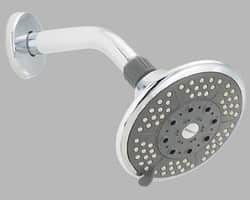 Delta Peerless 5-Spray Showerhead for $10