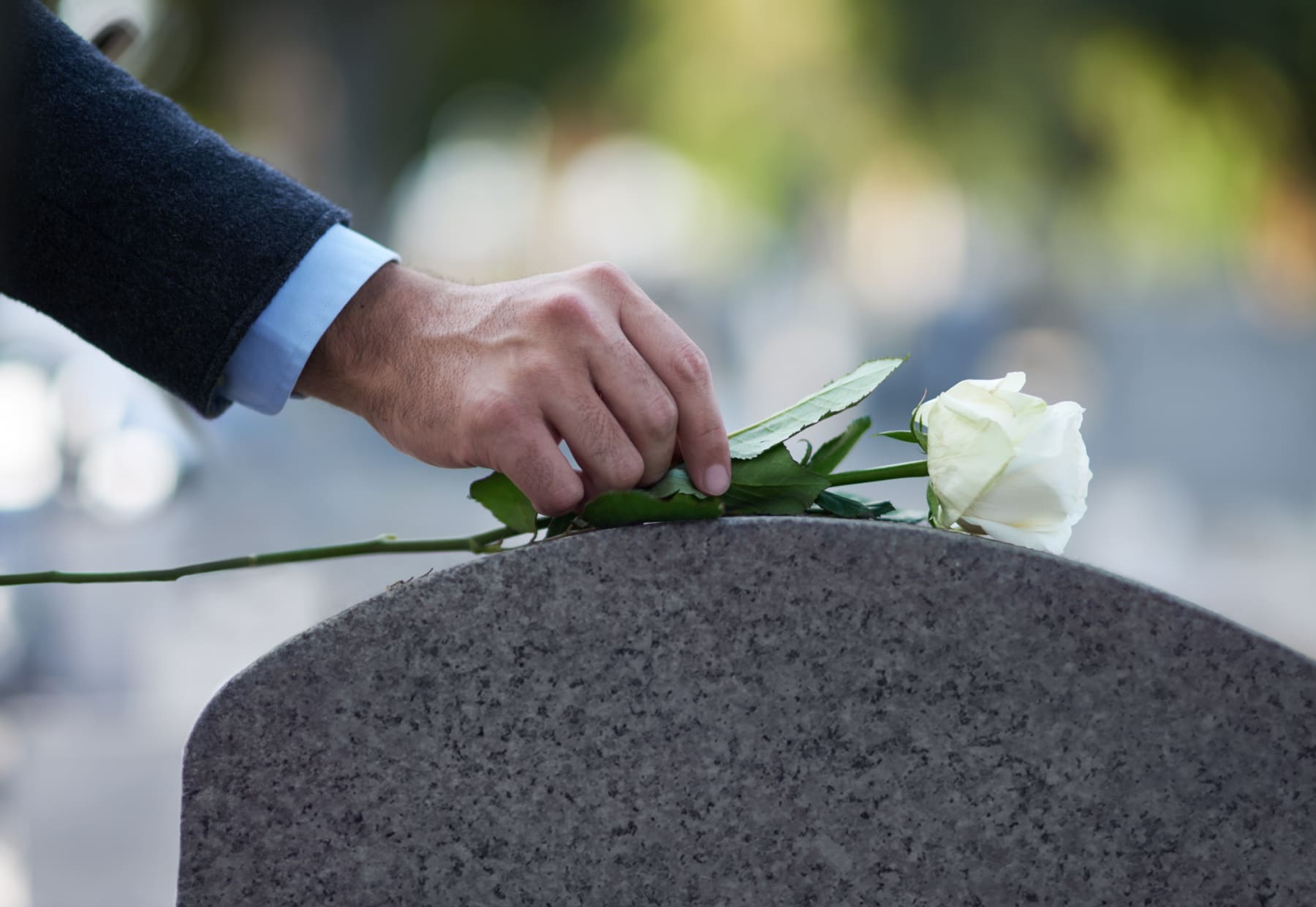 putting flower on grave
