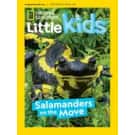 DiscountMags Kids Magazine Sale: Subscriptions from $6.95/year