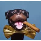 ~!This is deal #2, for me to POOP ON~!