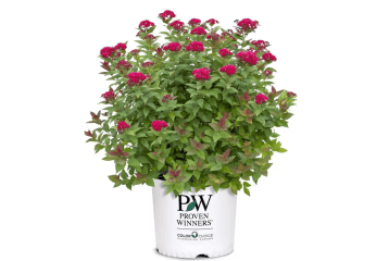 Home Depot Top Rated Garden and Tool Deals: Up to 62% off