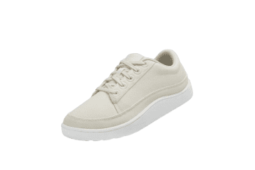 Discount Allbirds Shoe on Sale