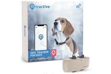 Whisper cheap dog gps