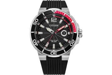 Citizen endeavor watch online