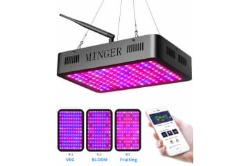 Govee grow outlet light