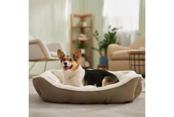 Chewy dog 2025 bed coupon