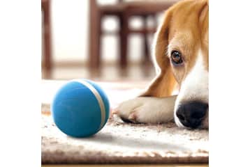Cheerble Wicked Ball Interactive Dog Toy for 28