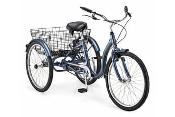 Three wheel schwinn bike discount