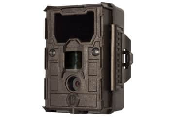 bushnell bandit trail camera
