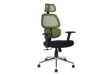 Tikitere mesh green ergonomic mesh executive office 2025 chair