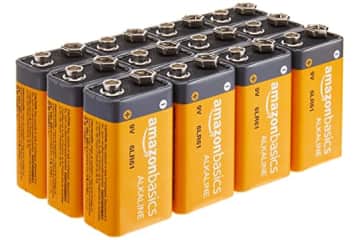   Basics 8-Pack 9 Volt Alkaline Performance All-Purpose  Batteries, 5-Year Shelf Life, Packaging May Vary : Health & Household