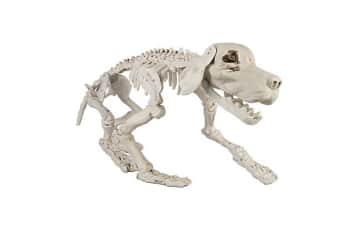 Tractor Supply Co. Coupons: up to 75% off w/ Promo Code for ...