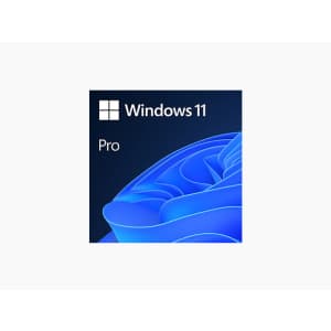 Microsoft Windows 11 Pro: $20