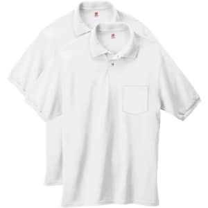 Hanes Men's Polo Shirt 2-Pack: $7.51 Hanes Men's Polo Shirt 2-Pack: $7.51