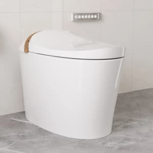 DeerValley Automatic Tankless Smart Toilet: $393.60