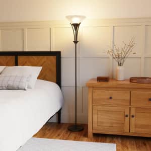 Globe Electric Gatineau 70" Floor Lamp w/ Glass Shade: $20.84