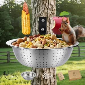 Ofasixx Tree-Mounted Squirrel Feeder Bowl: $12.79 Ofasixx Tree-Mounted Squirrel Feeder Bowl: $12.79