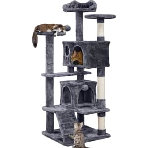 Amazon Resale Pet Supplies: Get Deals