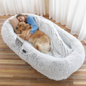 71" Human Dog Bed: $100 w/ Prime