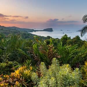 7-Night Costa Rica Flight, Hotel, and Tour Vacation: From $1,249 per person