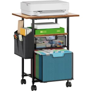 Rolling File Cabinet: $20
