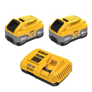 DeWalt 20V Lithium-Ion Battery 2-Pack w/ Charger: $449 + 3 free tools worth up to $249