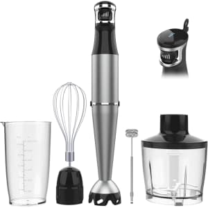 Immersion Blender Set: $30