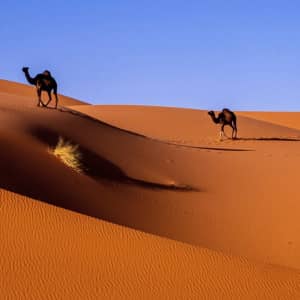 14-Night Morroco Hotel and Tour Vacation: From $1,699 per person