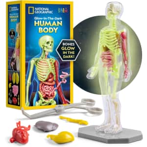 National Geographic Glow-in-the-Dark Human Body Model: $13 National Geographic Glow-in-the-Dark Human Body Model: $13
