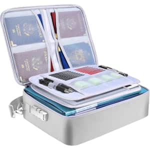 Baleine Portable Fireproof and Waterproof Document Bag with Lock: $18.89