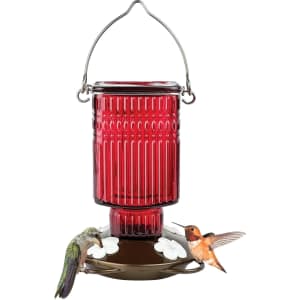 Nature's Way 22-oz. Hanging Glass Hummingbird Feeder: $5