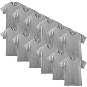 Gildan Men's DryBlend T-Shirt 12-Pack: $19