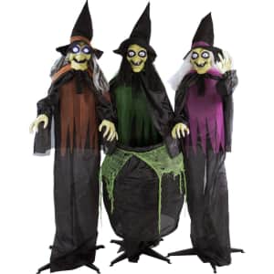 Haunted Hill Farm Life-Size Animatronic Witches w/ Cauldron: $69.99