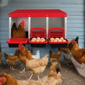 3-Compartment Chicken Nesting Boxes: $51.60 3-Compartment Chicken Nesting Boxes: $51.60
