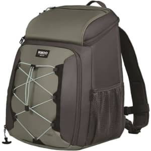 Igloo 30-Can Voyager Backpack Cooler: $35.99