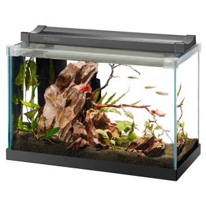 Aquariums and Fish Supplies at Petco: Up to 50% off Aquariums and Fish Supplies at Petco: Up to 50% off