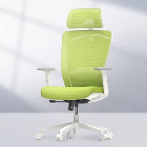 Flexispot Ergonomic Office Chair with Lumbar Support: $100 w/ Prime
