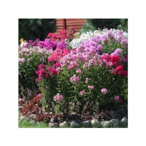 Garden Goals, Beds & more at Woot: Up to 71% off Garden Goals, Beds & more at Woot: Up to 71% off
