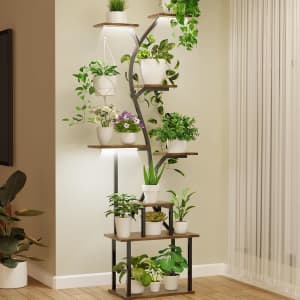 DreamOak 65" Indoor Plant Stand with Grow Lights: $49.99