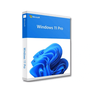 Microsoft Windows 11 Pro Lifetime Subscription: $8.91