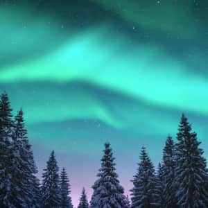 8-Night Finland Hotel and Tour Vacation: From $2,999 per person 8-Night Finland Hotel and Tour Vacation: From $2,999 per person