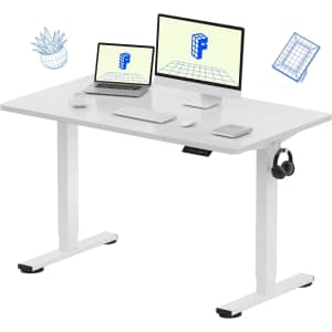 Flexispot 48" x 24" Adjustable Electric Standing Desk: $99.99