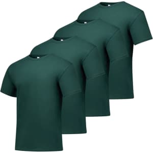 Hanes Men's Essentials Crewneck T-Shirt 4-Pack: $8.12